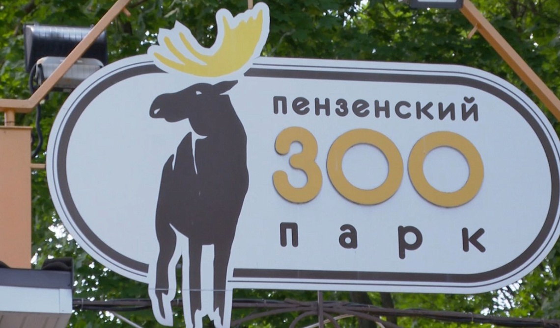 В Пензенский зоопарк привезли зебру и самку северного оленя